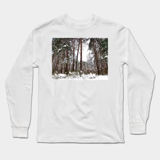 Scene at the Striginsky Bor Forest Park in Nizhny Novgorod with pine trees, curved tree, bushes Long Sleeve T-Shirt